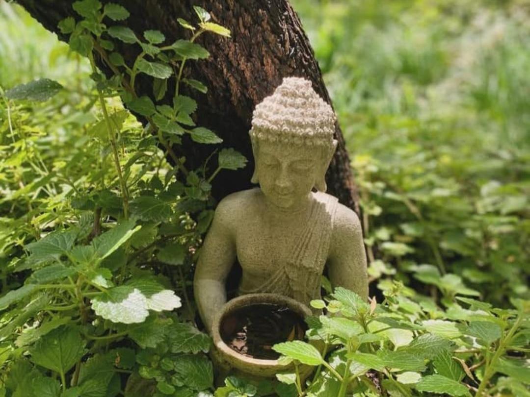 麦格雷戈 Temenos Retreat酒店 外观 照片