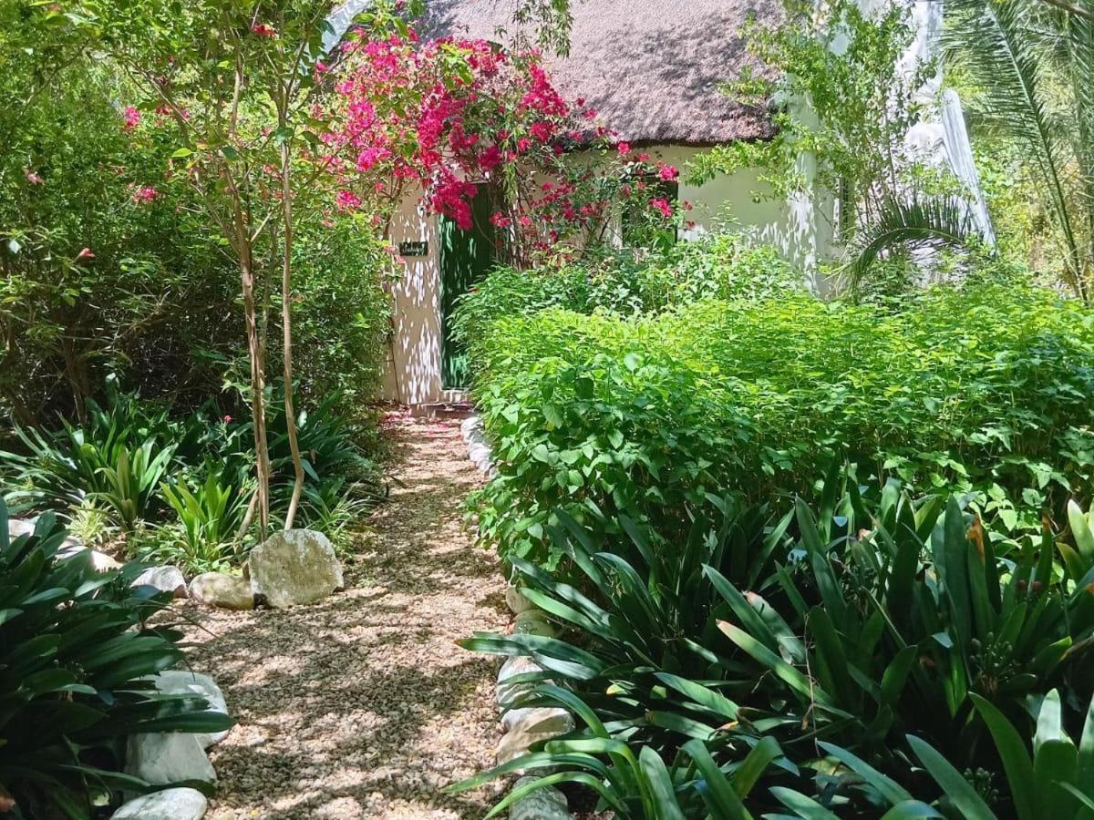 麦格雷戈 Temenos Retreat酒店 外观 照片