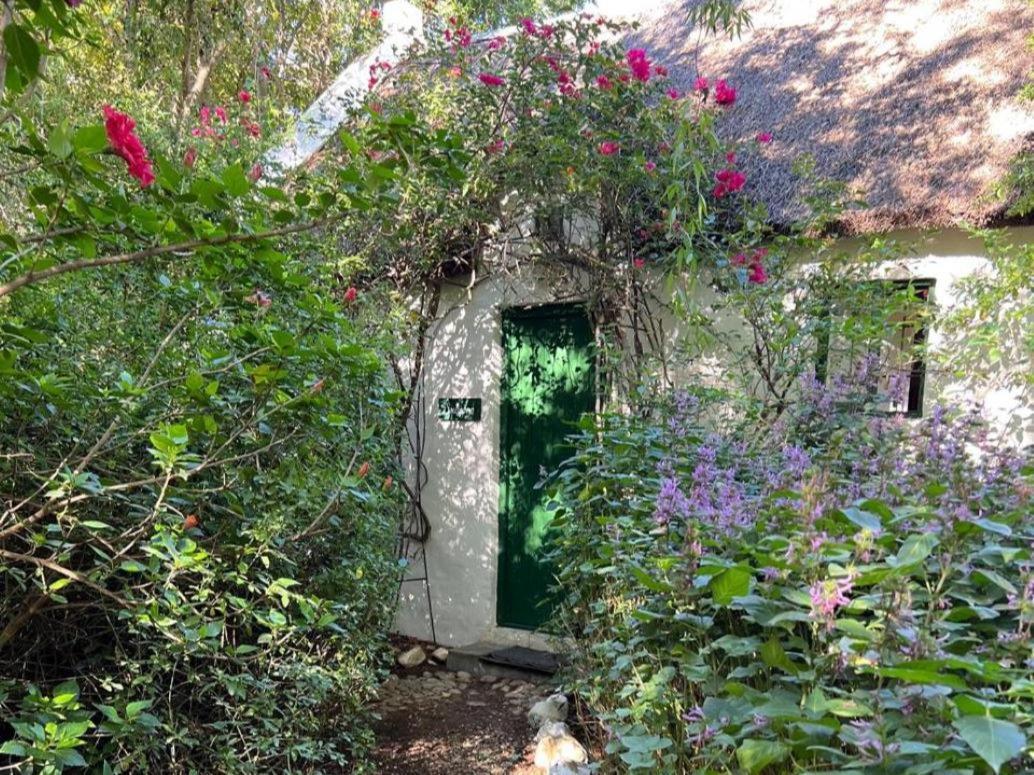 麦格雷戈 Temenos Retreat酒店 客房 照片